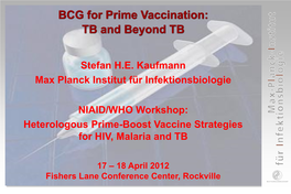 R-BCG Vaccine Candidates for TB