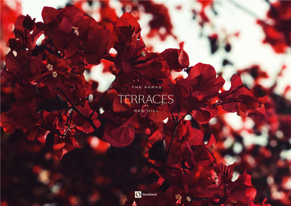 Download Terraces Brochure