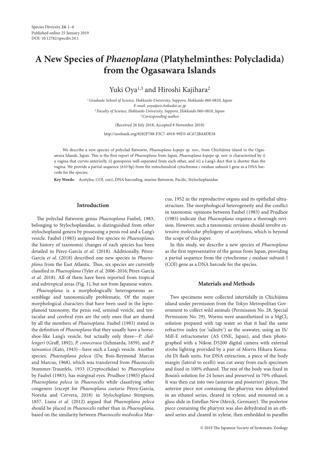 A New Species of Phaenoplana (Platyhelminthes: Polycladida) from the Ogasawara Islands