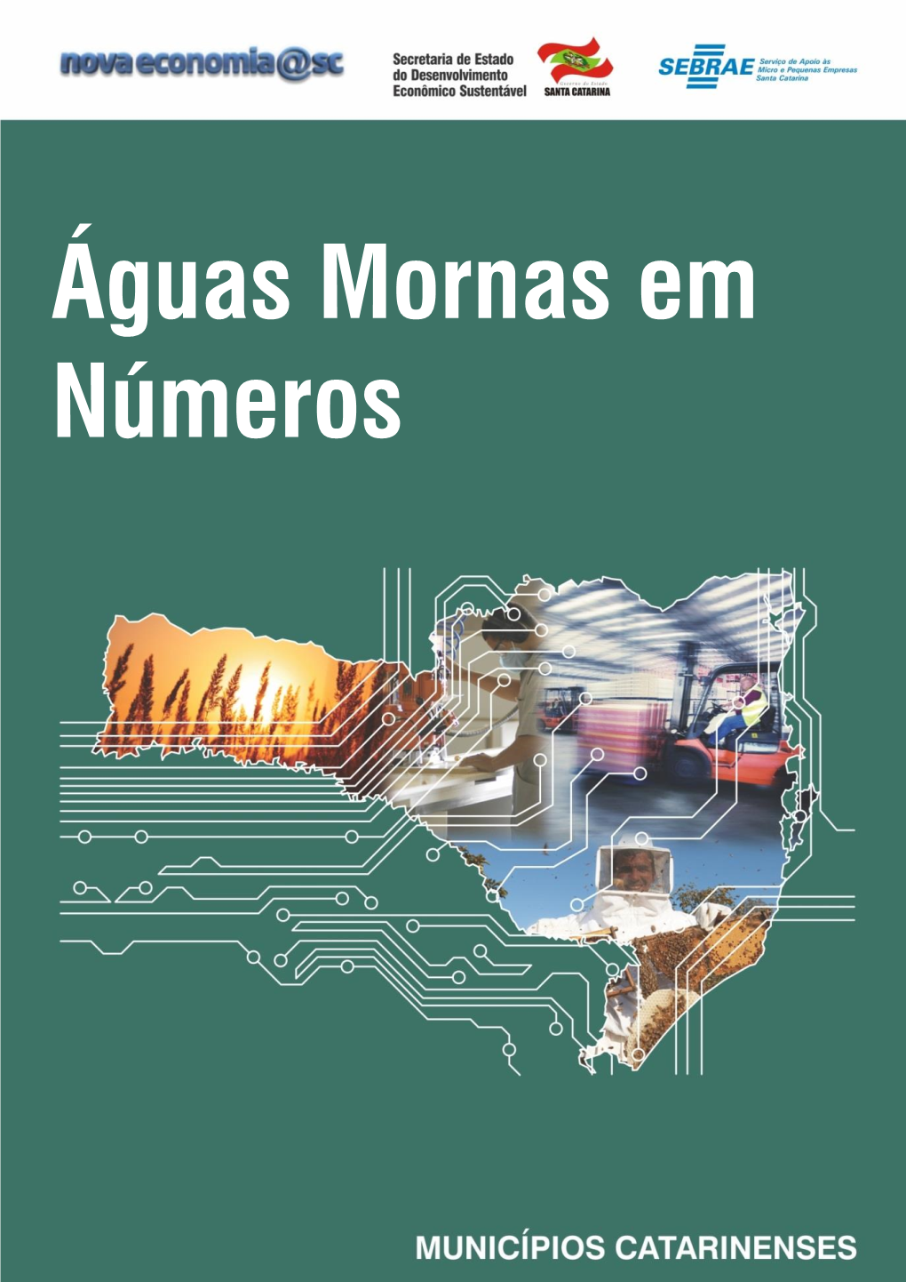 Águas Mornas Em Números