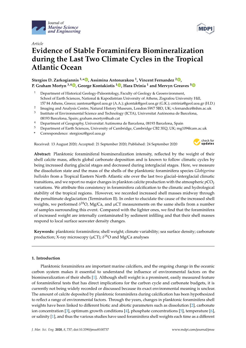 Evidence of Stable Foraminifera Biomineralization During the Last Two Climate Cycles in the Tropical Atlantic Ocean