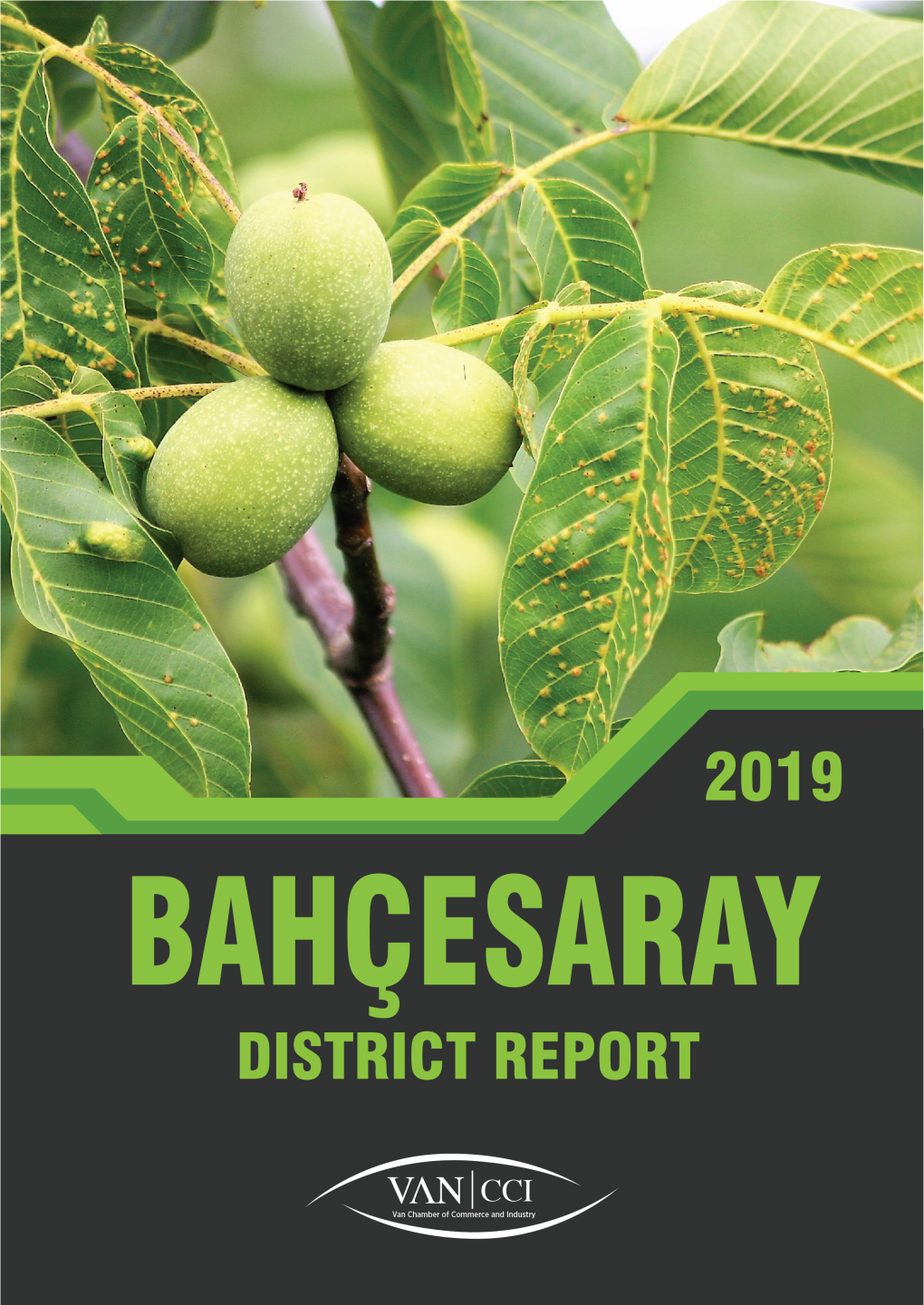 Bahçesaray Population Structure