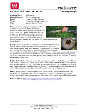 Sea Lamprey US ARMY CORPS of ENGINEERS Building Strong®