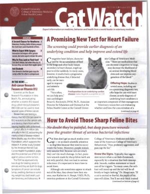 Apromising New Test for Heart Fail Re How to Avoid Those Sharp Feline