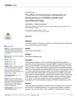 The Effect of Intravenous Maropitant on Blood Pressure in Healthy Awake and Anesthetized Dogs