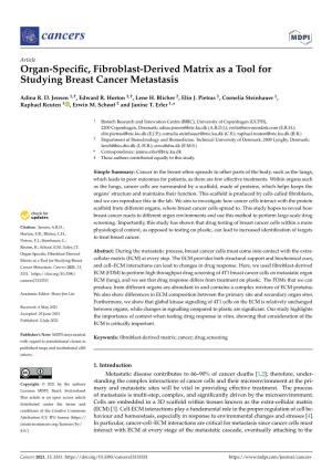 Organ-Specific, Fibroblast-Derived Matrix As a Tool for Studying Breast