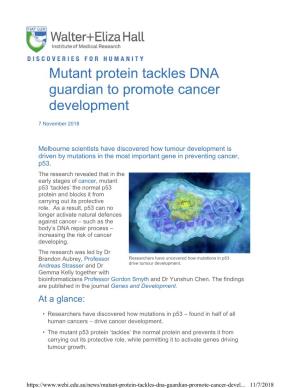 Mutant Protein Tackles DNA Guardian to Promote Cancer Development