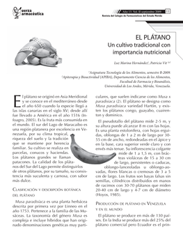 El Plátano Un Cultivo Tradicional Con Importancia Nutricional
