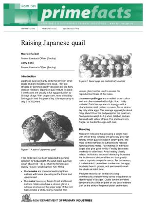 Raising Japanese Quail