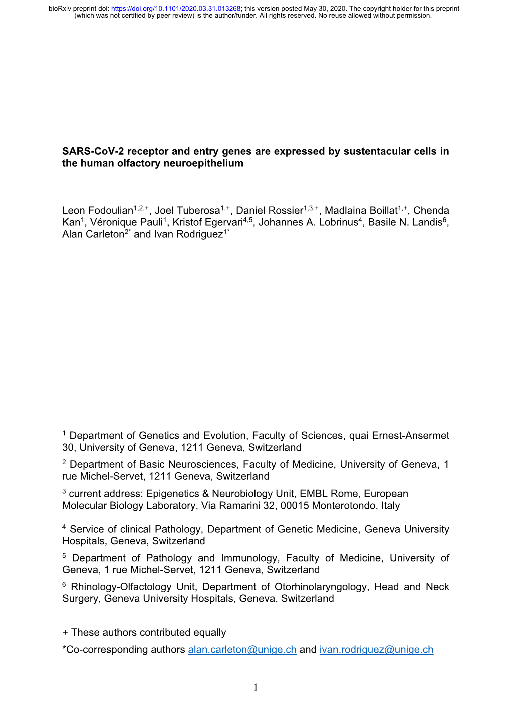 SARS-Cov-2 Receptor and Entry Genes Are Expressed by Sustentacular Cells in the Human Olfactory Neuroepithelium