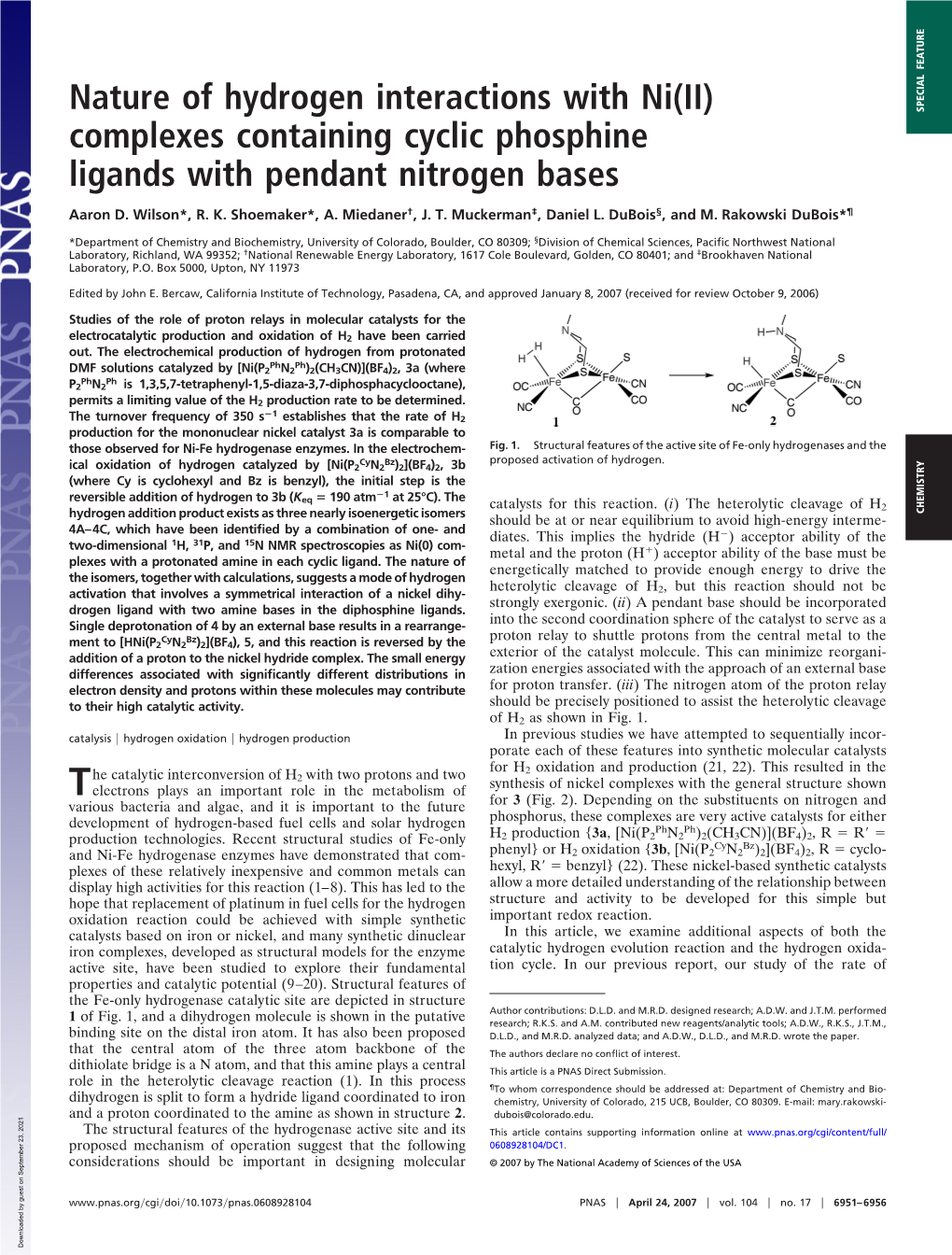 Nature of Hydrogen Interactions with Ni(II) Complexes Containing Cyclic