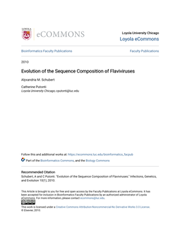 Evolution of the Sequence Composition of Flaviviruses