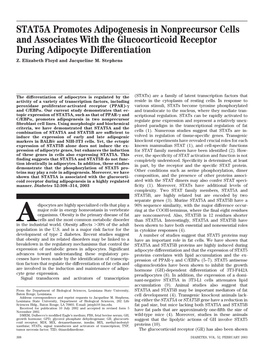 STAT5A Promotes Adipogenesis in Nonprecursor Cells and Associates with the Glucocorticoid Receptor During Adipocyte Differentiation Z