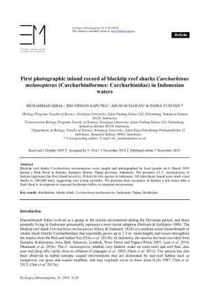 First Photographic Inland Record of Blacktip Reef Sharks Carcharhinus Melanopterus (Carcharhiniformes: Carcharhinidae) in Indonesian Waters
