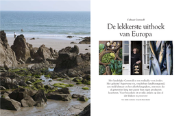 Culinair Cornwall De Lekkerste Uithoek Van Europa