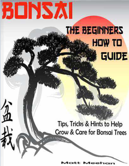 Bonsai – the Beginners How to Guide