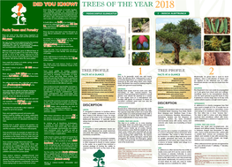 TREES of the YEAR 1 - PODOCARPUS ELONGATUS 2018 Trees Bring Diverse Groups of People Together