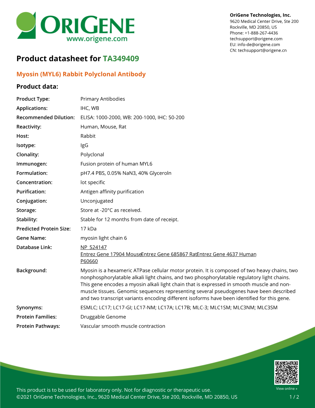 Myosin (MYL6) Rabbit Polyclonal Antibody – TA349409 | Origene