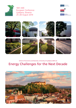 Energy Challenges for the Next Decade