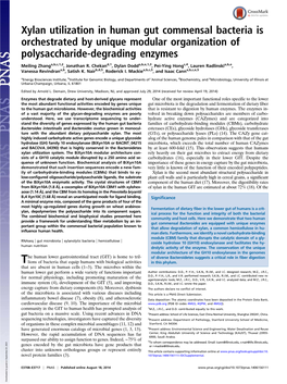 Xylan Utilization in Human Gut Commensal Bacteria Is Orchestrated by Unique Modular Organization of Polysaccharide-Degrading Enzymes