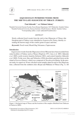 Sequoioxylon PETRIFIED Woods from the MID to LATE Oligocene of THRACE (Turkey)