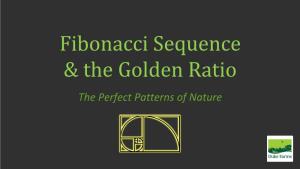 Fibonacci Sequence & the Golden Ratio