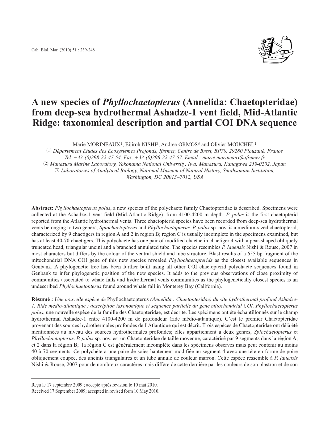 Annelida: Chaetopteridae) from Deep-Sea Hydrothermal Ashadze-1 Vent Field, Mid-Atlantic Ridge: Taxonomical Description and Partial COI DNA Sequence