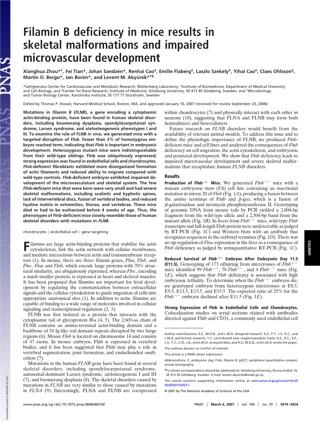 Filamin B Deficiency in Mice Results in Skeletal Malformations and Impaired Microvascular Development