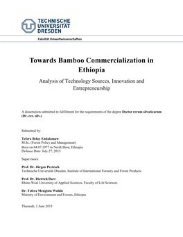 Towards Bamboo Commercialization in Ethiopia Analysis of Technology Sources, Innovation and Entrepreneurship