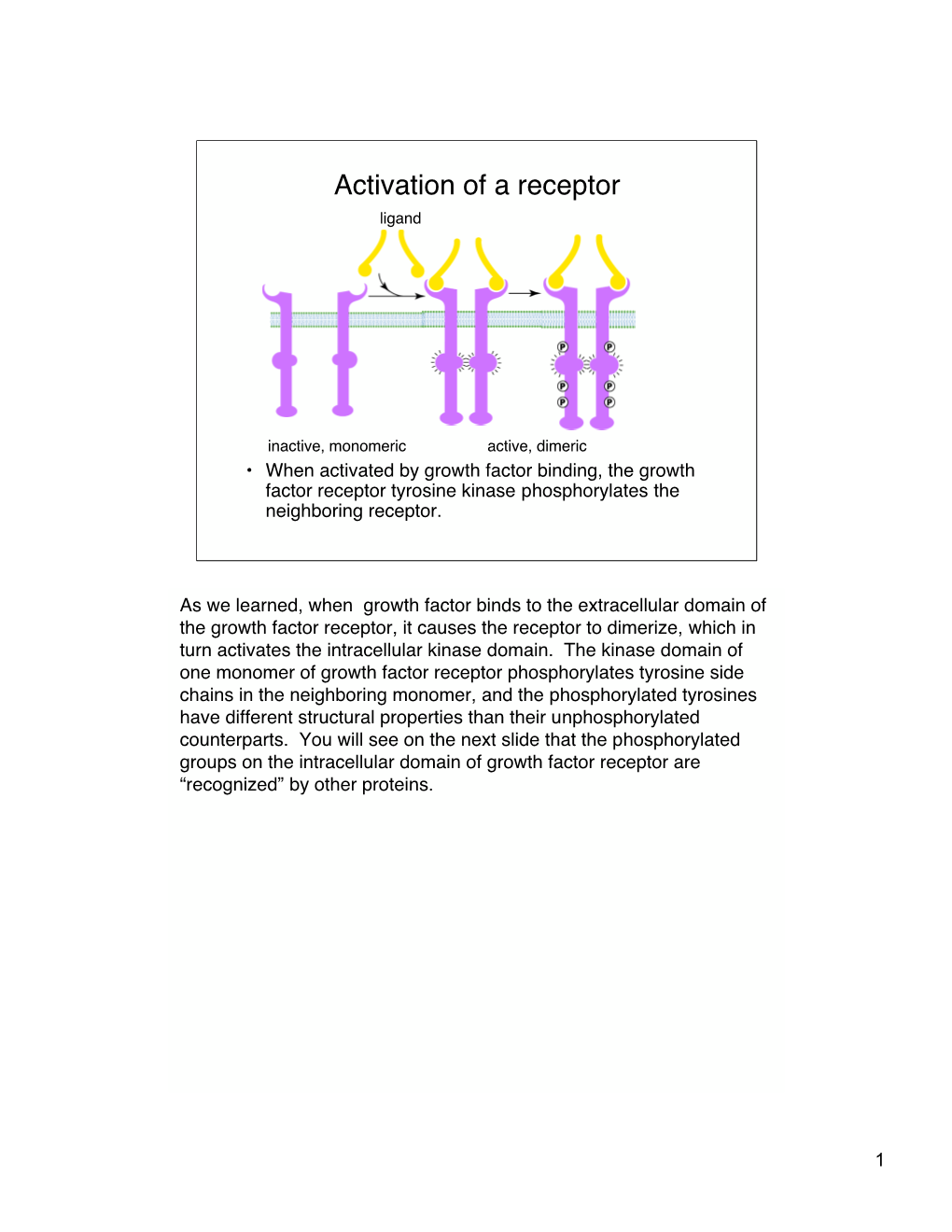 Signalling Lecturenotesb-1