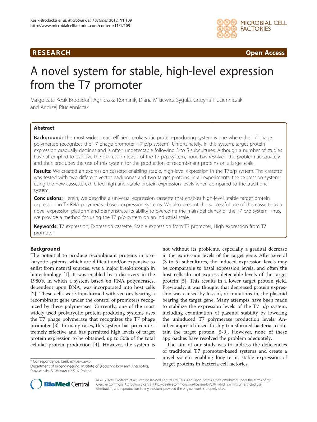 A Novel System for Stable, High-Level Expression from the T7 Promoter