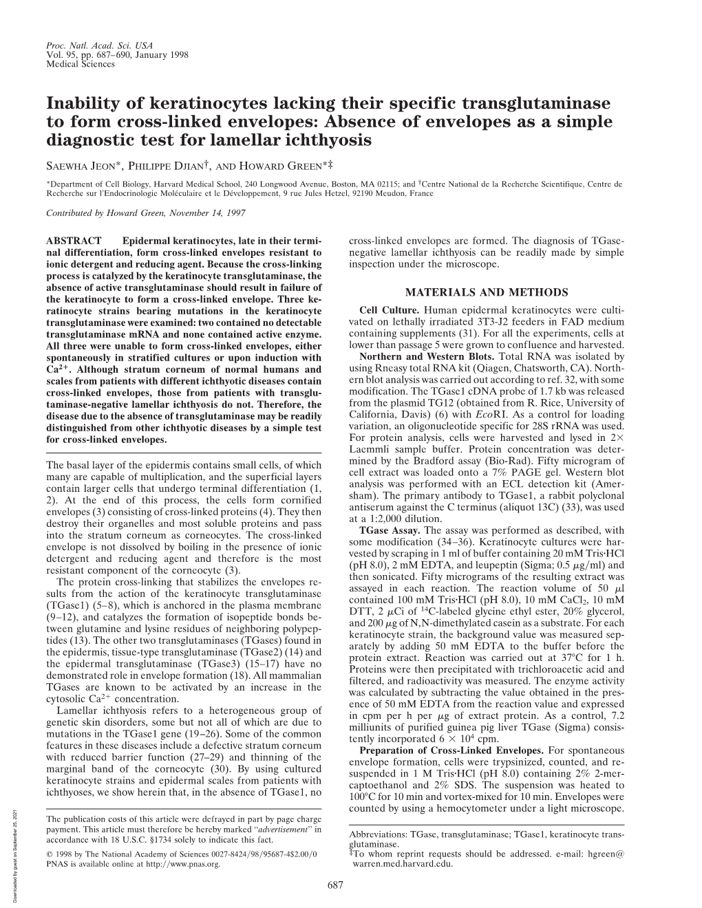 Inability of Keratinocytes Lacking Their Specific Transglutaminase To