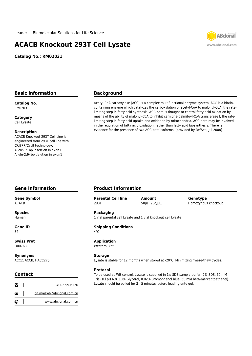 ACACB Knockout 293T Cell Lysate