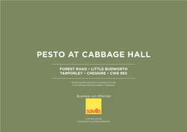 Pesto at Cabbage Hall