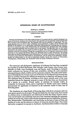 And Phylogenetic Significance Long Been Recognised (Bachmann, 1886