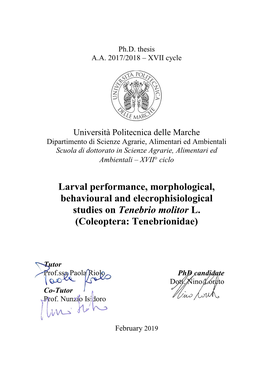 Larval Performance, Morphological, Behavioural and Elecrophisiological Studies on Tenebrio Molitor L