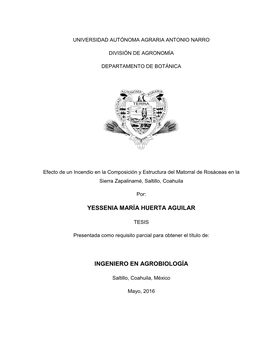 Yessenia María Huerta Aguilar Ingeniero En