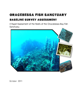 Oracebessa Fish Sanctuary