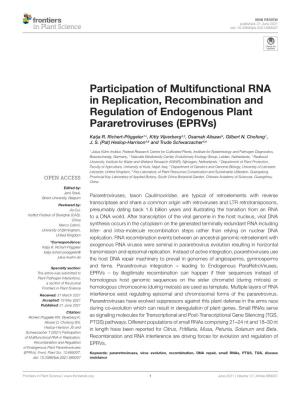 Participation of Multifunctional RNA in Replication, Recombination and Regulation of Endogenous Plant Pararetroviruses (Eprvs)