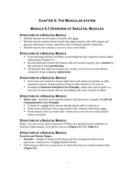 Chapter 9: the Muscular System Module 9.1 Overview of Skeletal Muscles