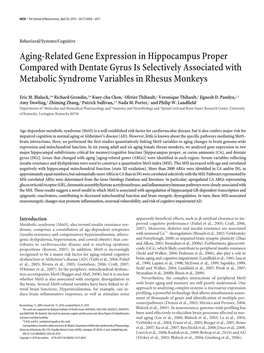 Aging-Related Gene Expression in Hippocampus Proper Compared with Dentate Gyrus Is Selectively Associated with Metabolic Syndrome Variables in Rhesus Monkeys