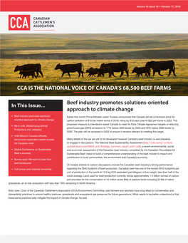 Beef Industry Promotes Solutions-Oriented Approach to Climate