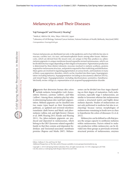 Melanocytes and Their Diseases