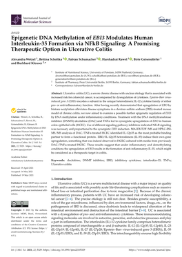 Epigenetic DNA Methylation of EBI3 Modulates Human Interleukin-35 Formation Via Nfkb Signaling: a Promising Therapeutic Option in Ulcerative Colitis