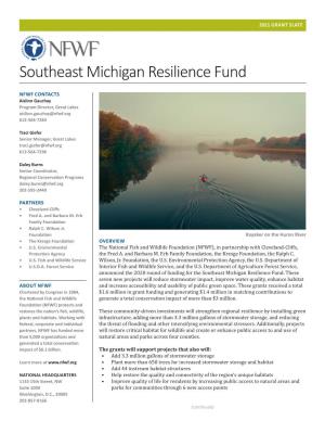 Southeast Michigan Resilience Fund