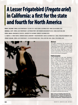 A Lesser Frigaterbird (&lt;I&gt;Fregata Ariel&lt;/I&gt;) in California: a First for the State