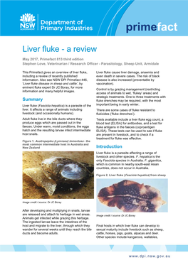 Liver Fluke - a Review