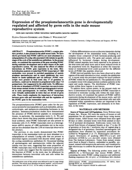 Expression of the Proopiomelanocortin Gene Is