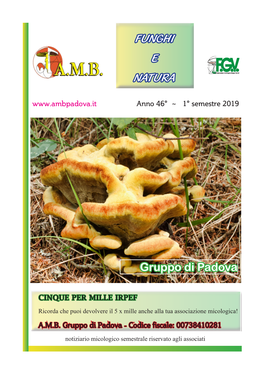 Funghi E Natura Gruppo Di Padova