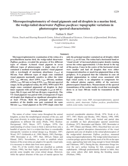 Microspectrophotometry of Visual Pigments and Oil Droplets in A